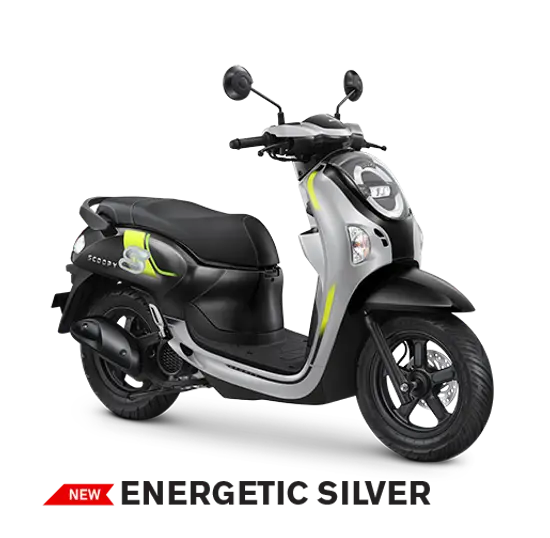 Scoopy - Image 2