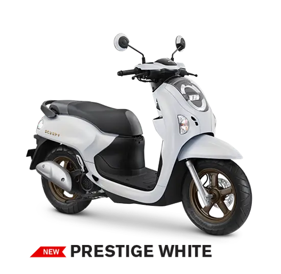 Scoopy - Image 7